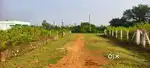 తగరపుల్స్ హైవే కి ఒక కిలోమీటర్ దూరంలో