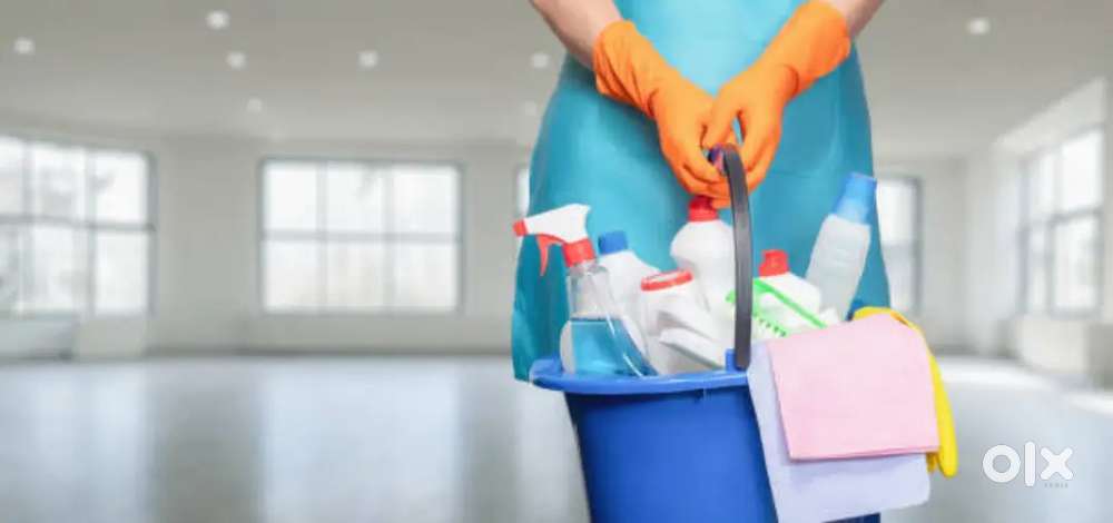 Lodge Cleaning Staff