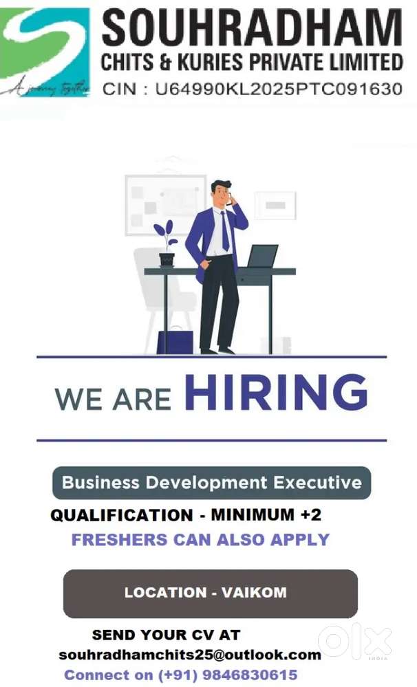 BUSINESS DEVELOPMENT EXECUTIVE