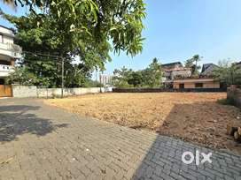 5 CENT ORGINAL LAND FOR SALE IN KAKKANAD CIVIL STATION JUST  800 MTR