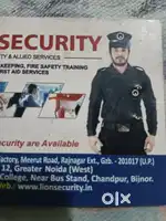 Lion security