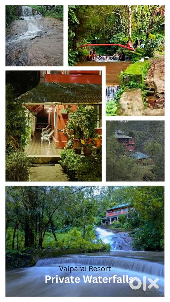 Cook (Homestay/Resort)