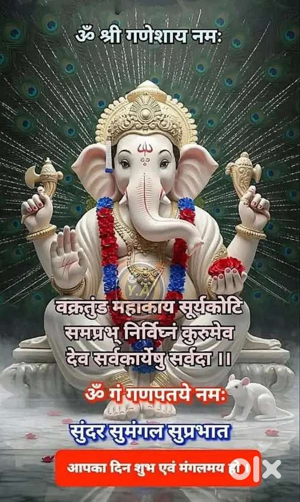 Need serious buyer's