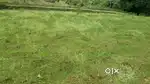 35 cents land for sale