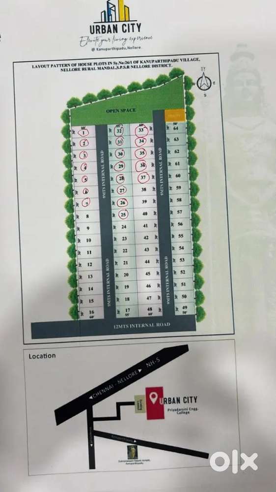 MJ, properties Nellore