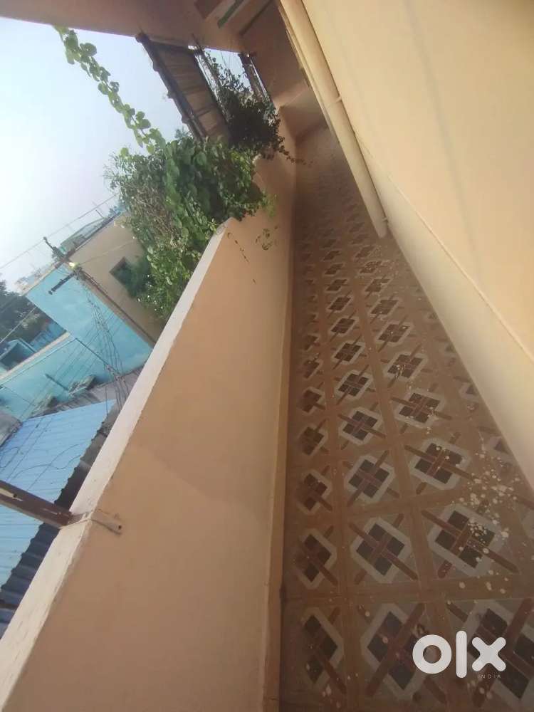 House roommate girl wanted