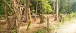 7 CENT, 8 CENT, 10 CENT PLOT FOR SALE IN MUNDUR CHURCH BACK SIDE