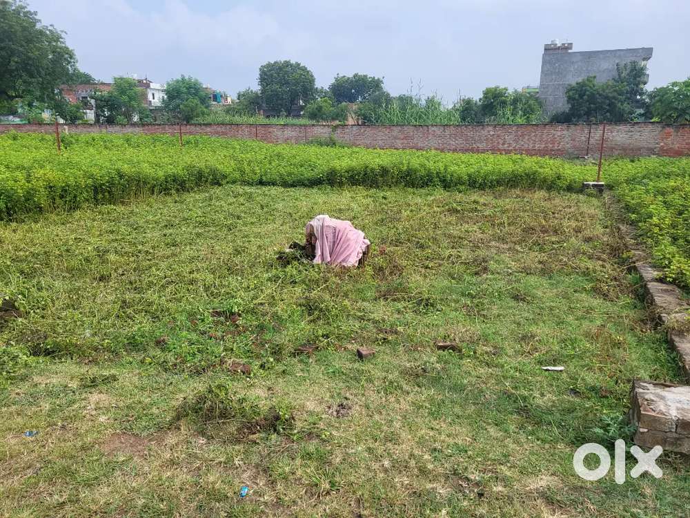 Dairy farming land for Lease