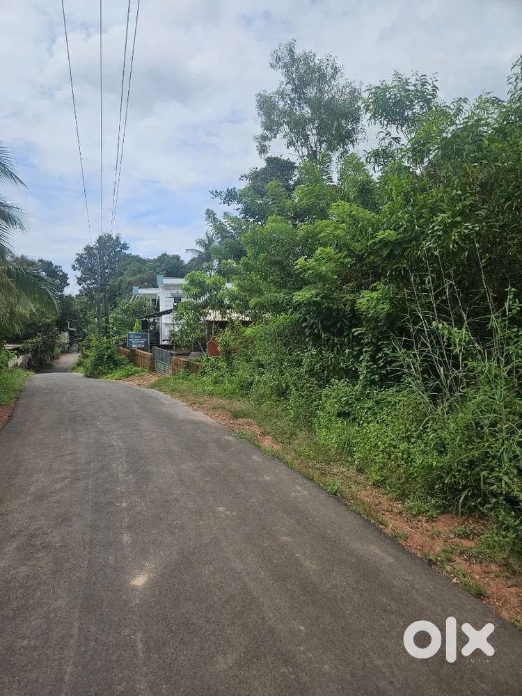 20 cent Housing Plot Chumaduthagi Pilathara