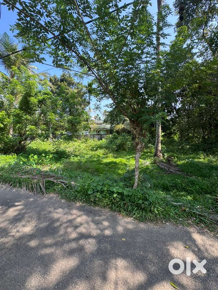 11.5 Vacant Plot for Sale - Good Road Access