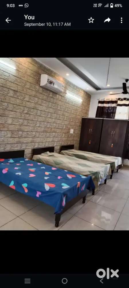 Luxurious pg for boys