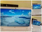 Hp chromebook