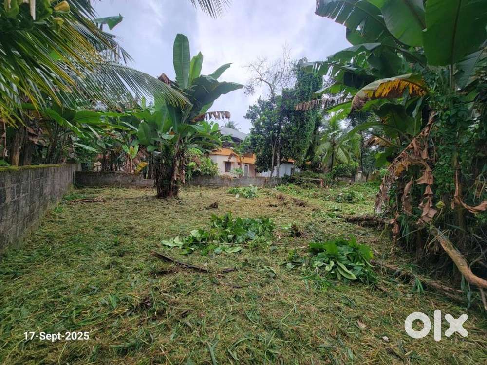 Plot for Sale in Pathanamthitta, Kerala – 10 ½ Cents Dry Land