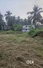 6 cent houning plot pallikara payagadi