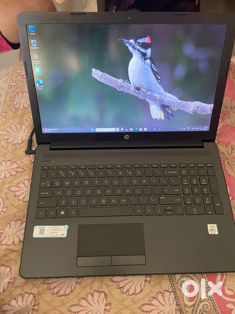 HP Laptop i5 10thGen 15-V7NKOF9K (Superb Condition)