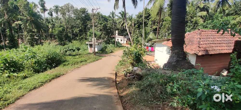 5 and 11 cents kadri mallikatte 23 lakh negotiable