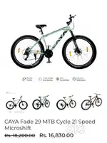 CAYA cycle