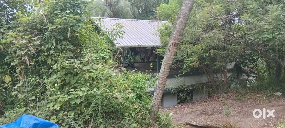 Plot and house in poomala (suitable for resorts