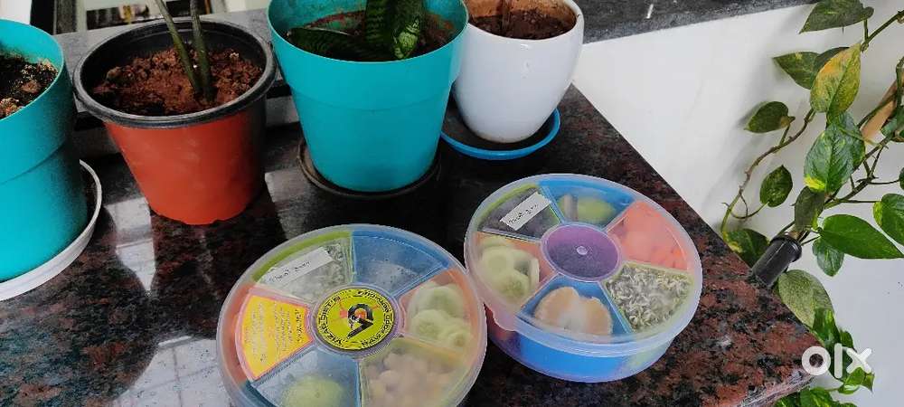 Part time Delivery from 6 to 8AM Morning