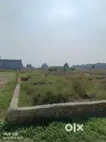 $ 50 70 100 111 GAJ FREE HOLD PLOT AT PILKHUWA (HAPUR)