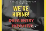 Data Entry Executive