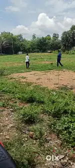 Pallathery മേടിക്കാൻ തയ്യാർ ഉള്ളവർ വിളിക്കാം