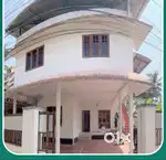 New World Ladies Hostel (B22) Bunker & Single cot Bed near edappally