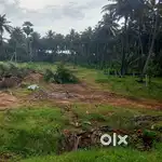 Empty land near dtcp approved site