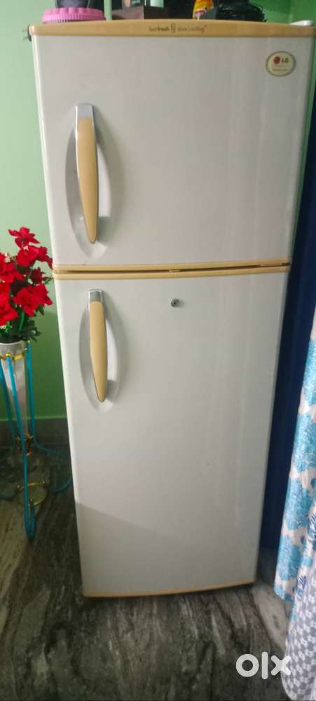 Double door LG fridge for sala