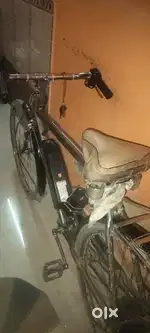 Electric cycle
