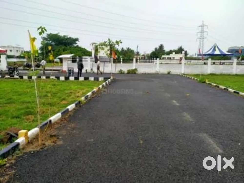 प्लॉट ही प्लॉट