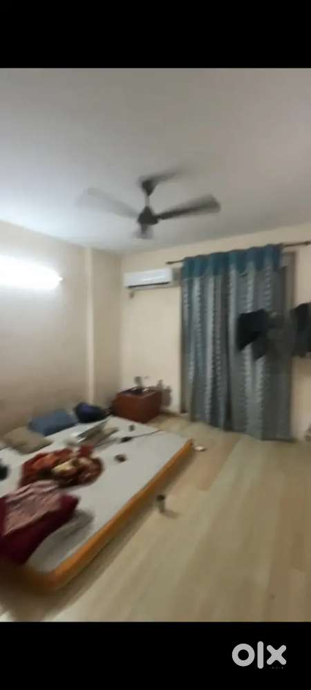 Looking for bachelor