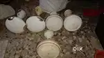 5 fans sell