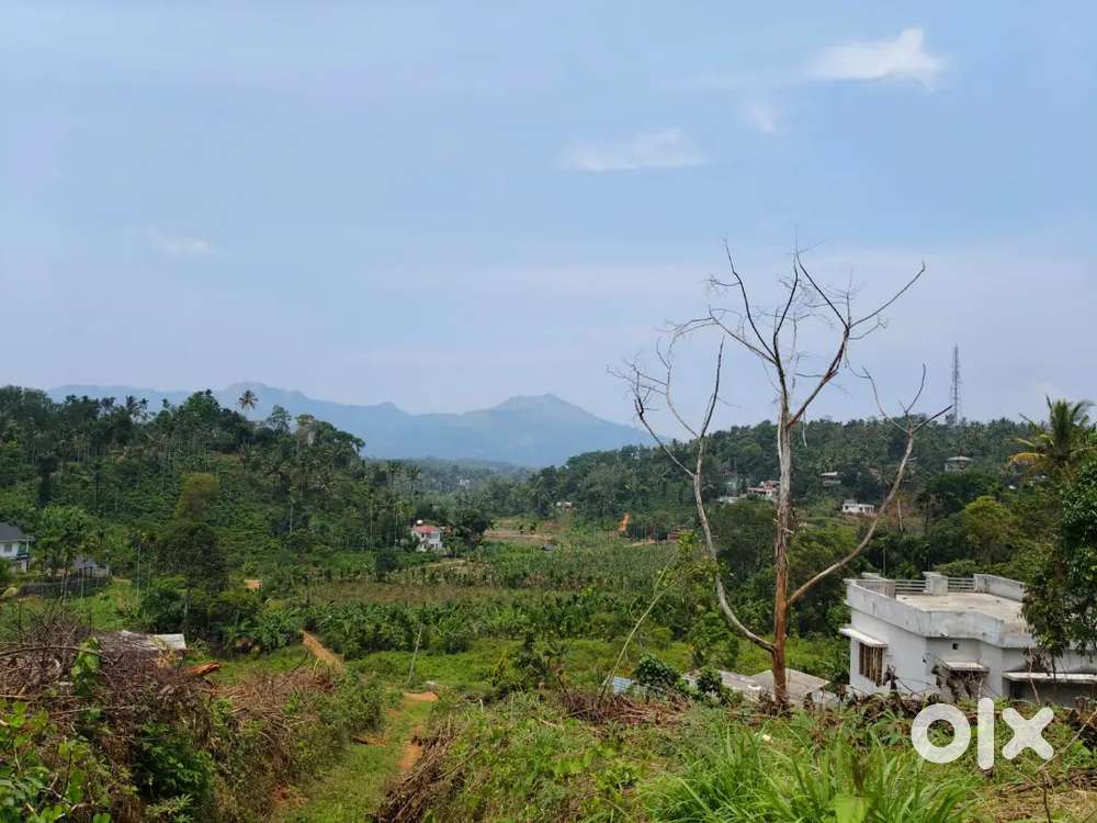 30 Cent plot in kalpetta Municipality near Vengapally