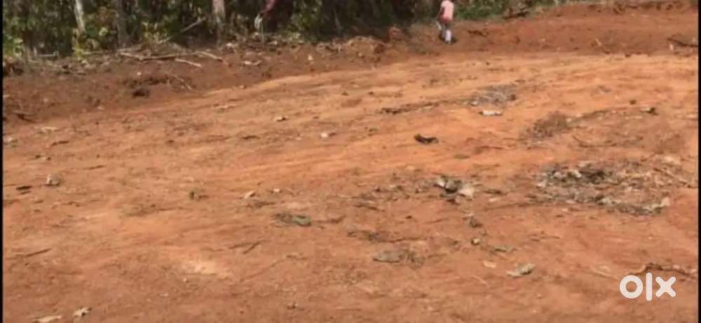 Thiruvalla കുമ്പനാട് കരീലമുക്ക്  വസ്തു വില്പനക്ക് per cent 1.25 lac