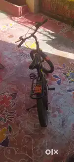 Neatly Maintained