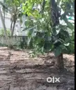 5 cent residential plot mulamthuruthy