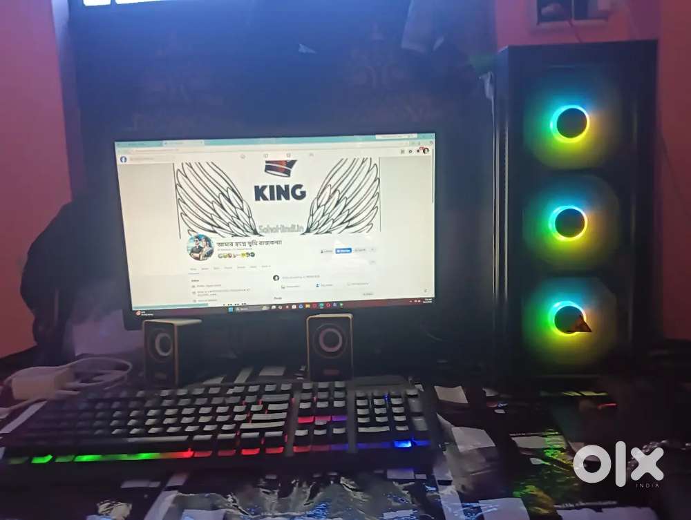 Tantigeria modhopara