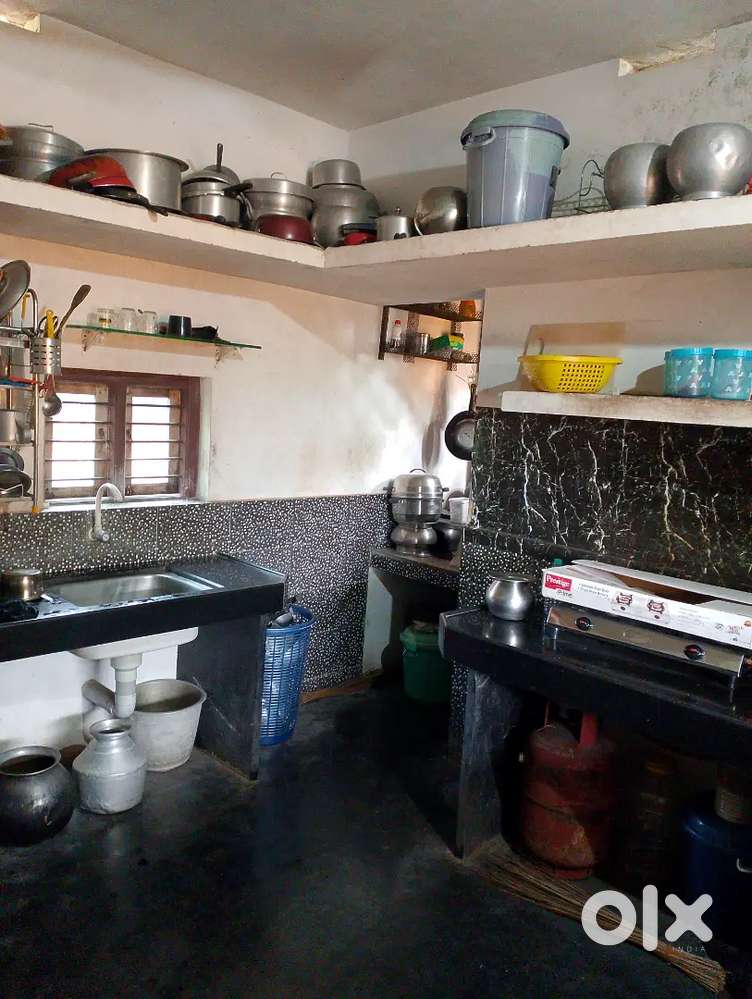 7cent land and House . 3 cocnut tree, 1arconut tree, banana and other