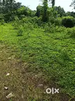 Clear Title Agriculture land for sale