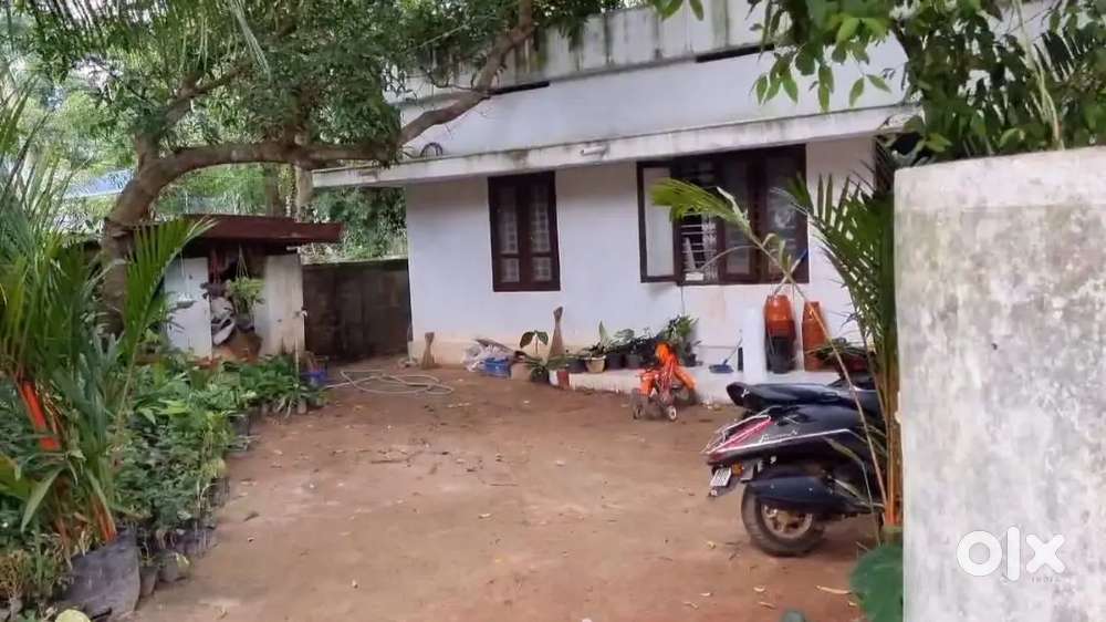 Plot with house for sale at Randamkutty