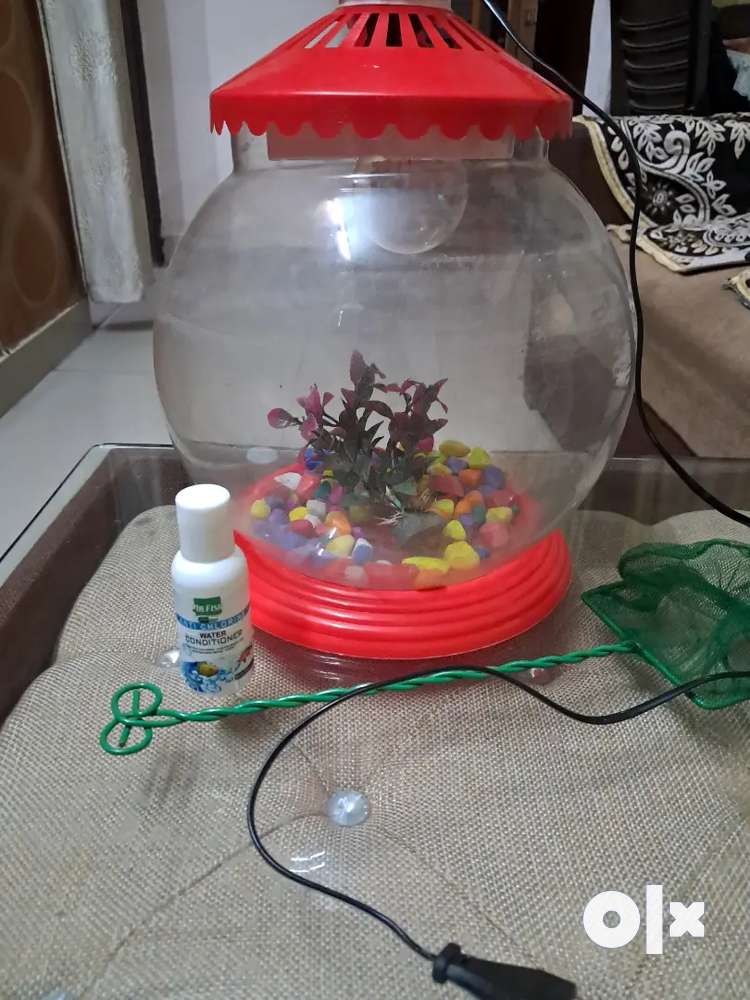 Ten inch pet fish bowl with needed accessories