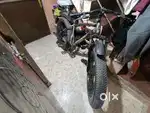 Brave heart