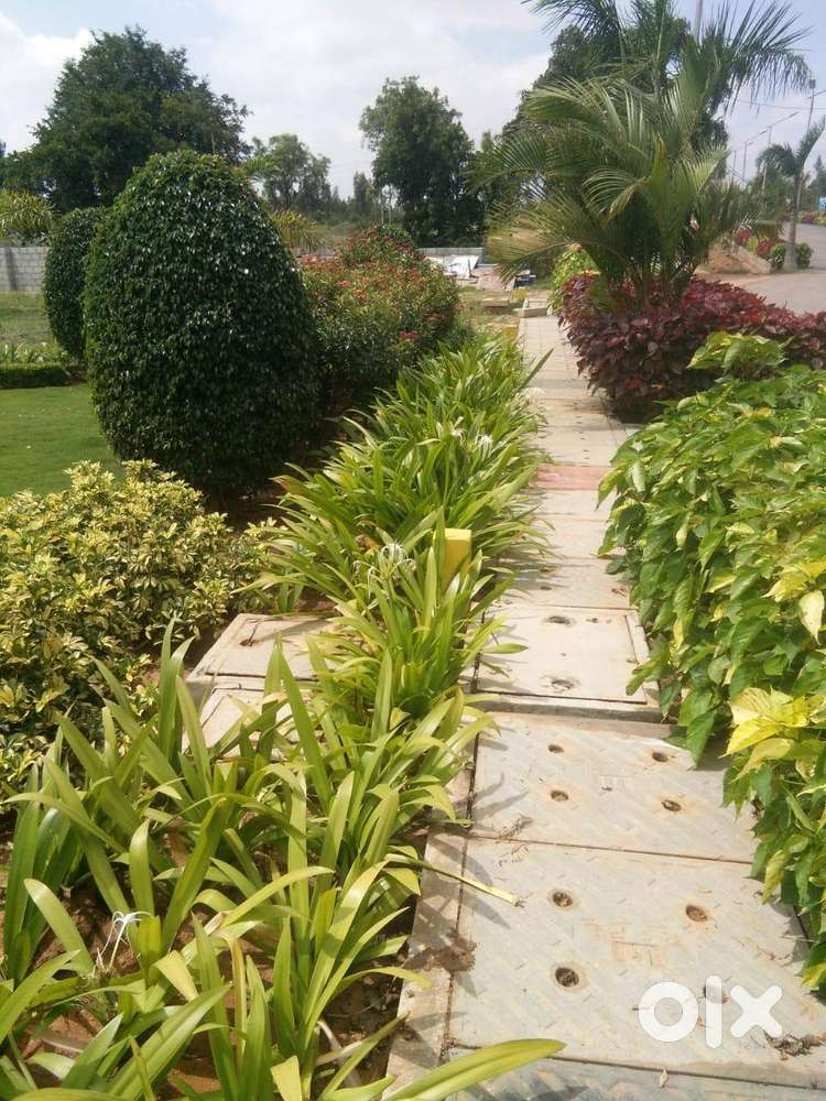 Villa plot for sale in Agalagarki near Chikkaballapura