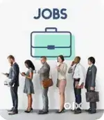 Required Female Candidate For  Official Works as P.A