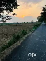 6 bigha khet for sale on main road