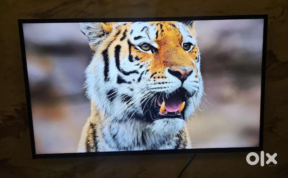 Samsung Smart TV