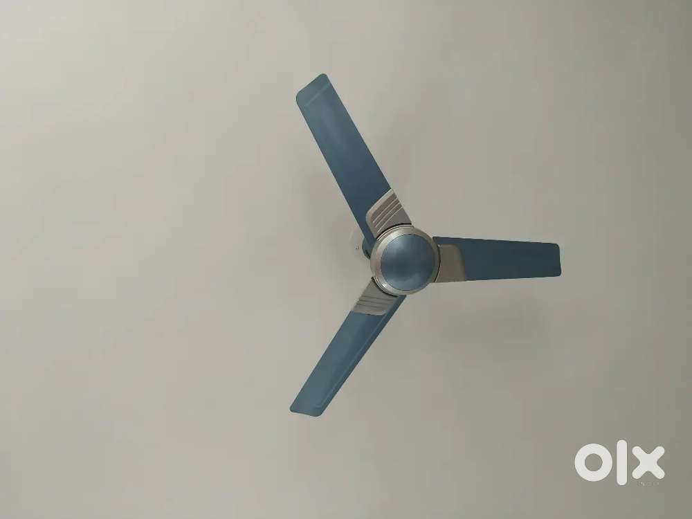 Ceiling Fans