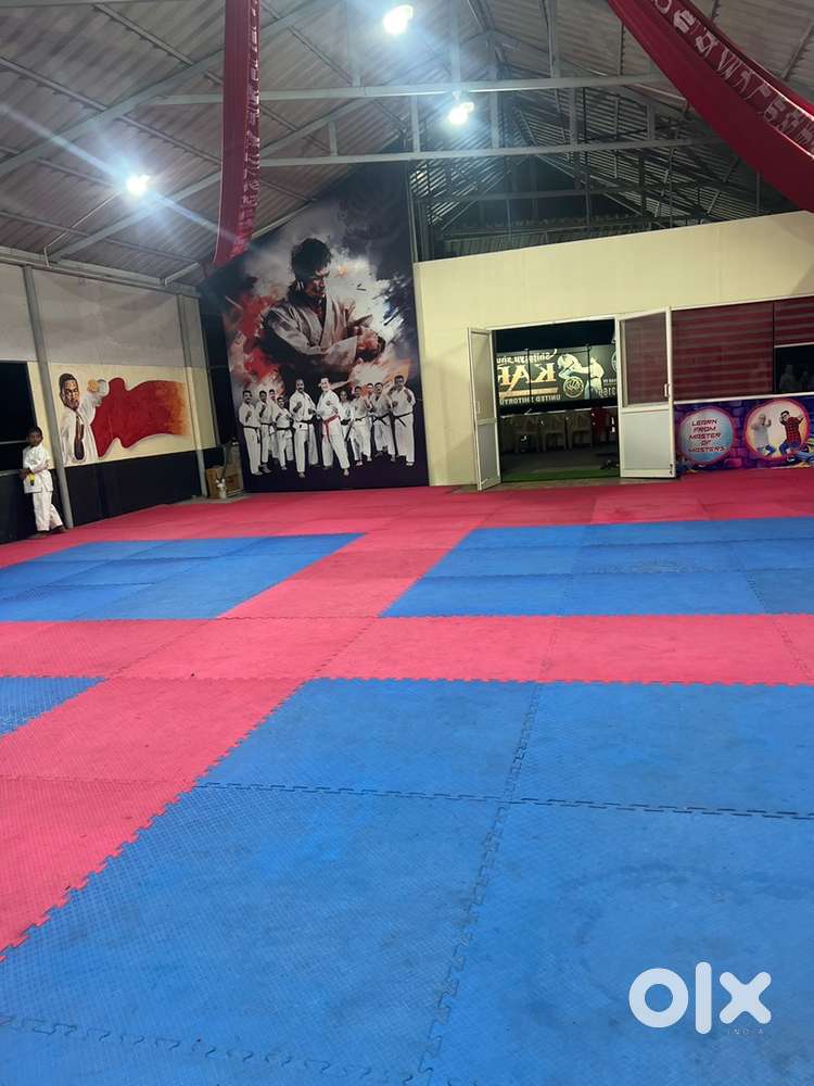 Dance practice , classical music and dance , kalari , yoga , and all t