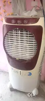 Baja coolar